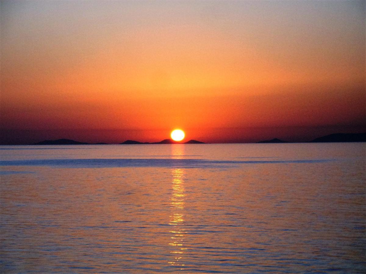 Alba Stupendo Appartamento In Villa Fronte Mare - Golfo Dell'Asinara - Internet Free Valledoria  Exterior foto